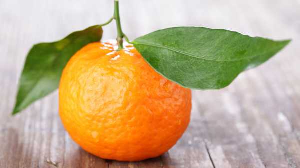 &Tau;&omicron; &chi;&epsilon;&iota;&mu;&epsilon;&rho;&iota;&nu;ό &phi;&rho;&omicron;ύ&tau;&omicron; - &theta;&eta;&sigma;&alpha;&upsilon;&rho;ό&sigmaf; &gamma;&iota;&alpha; &tau;&eta;&nu; &upsilon;&gamma;&epsilon;ί&alpha; &mu;&alpha;&sigmaf;!