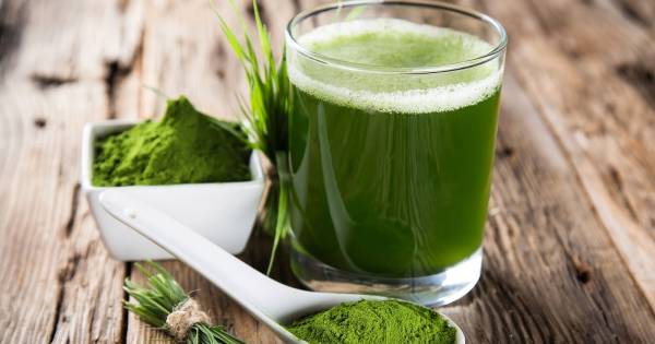 &Sigma;&pi;&iota;&rho;&omicron;&upsilon;&lambda;ί&nu;&alpha;: &omicron;&iota; &lambda;ό&gamma;&omicron;&iota; &pi;&omicron;&upsilon; &tau;&eta;&nu; &kappa;&alpha;&tau;&alpha;&tau;ά&sigma;&sigma;&omicron;&upsilon;&nu; &sigma;&tau;&iota;&sigmaf; &upsilon;&pi;&epsilon;&rho;&tau;&rho;&omicron;&phi;έ&sigmaf; &tau;&eta; &phi;ύ&sigma;&eta;&sigmaf;