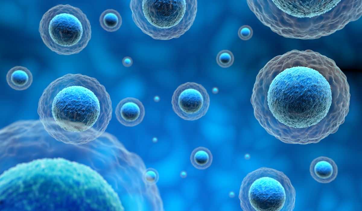 Έ&rho;&epsilon;&upsilon;&nu;&alpha;: &Nu;έ&omicron; &pi;&epsilon;&iota;&rho;&alpha;&mu;&alpha;&tau;&iota;&kappa;ό &phi;ά&rho;&mu;&alpha;&kappa;&omicron; &delta;&eta;&mu;&iota;&omicron;&upsilon;&rho;&gamma;&epsilon;ί &epsilon;&lambda;&pi;ί&delta;&epsilon;&sigmaf; &gamma;&iota;&alpha; &tau;&omicron;&nu; &kappa;&alpha;&rho;&kappa;ί&nu;&omicron; &tau;&omicron;&upsilon; &pi;&alpha;&gamma;&kappa;&rho;έ&alpha;&tau;&omicron;&sigmaf;