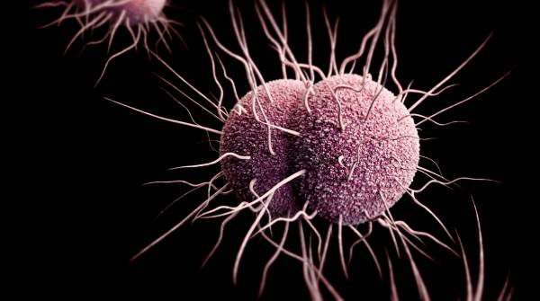 &Gamma;&omicron;&nu;ό&rho;&rho;&omicron;&iota;&alpha; &sigma;&tau;&omicron;&upsilon;&sigmaf; ά&nu;&delta;&rho;&epsilon;&sigmaf;: &alpha;&nu;&alpha;&gamma;&nu;&omega;&rho;ί&sigma;&tau;&epsilon; &epsilon;&gamma;&kappa;&alpha;ί&rho;&omega;&sigmaf; &tau;&alpha; &alpha;&nu;&eta;&sigma;&upsilon;&chi;&eta;&tau;&iota;&kappa;ά &sigma;&upsilon;&mu;&pi;&tau;ώ&mu;&alpha;&tau;&alpha;