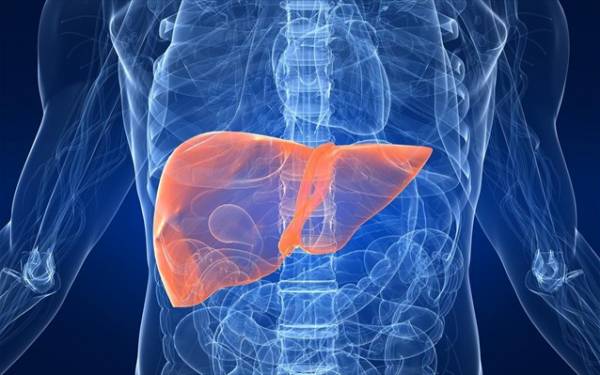 M&eta; &alpha;&lambda;&kappa;&omicron;&omicron;&lambda;&iota;&kappa;ή &lambda;&iota;&pi;ώ&delta;&eta;&sigmaf; &nu;ό&sigma;&omicron;&sigmaf;: &Pi;ό&sigma;&omicron; &sigma;&eta;&mu;&alpha;&nu;&tau;&iota;&kappa;ό&sigmaf; &epsilon;ί&nu;&alpha;&iota; &omicron; &upsilon;&gamma;&iota;&epsilon;&iota;&nu;ό&sigmaf; &tau;&rho;ό&pi;&omicron;&sigmaf; &zeta;&omega;ή&sigmaf;;