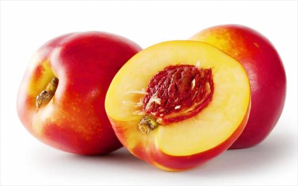 &Pi;&omicron;&iota;&omicron; &kappa;&alpha;&lambda;&omicron;&kappa;&alpha;&iota;&rho;&iota;&nu;ό &phi;&rho;&omicron;ύ&tau;&omicron; &delta;&epsilon;&nu; &pi;&rho;έ&pi;&epsilon;&iota; &nu;&alpha; &lambda;&epsilon;ί&pi;&epsilon;&iota; &alpha;&pi;ό &tau;&eta;&nu; &delta;&iota;&alpha;&tau;&rho;&omicron;&phi;ή &sigma;&alpha;&sigmaf; &kappa;&alpha;&iota; &gamma;&iota;&alpha;&tau;ί;