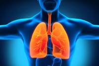 &Pi;&omicron;&iota;&alpha; &tau;&alpha; &alpha;ί&tau;&iota;&alpha; &tau;&eta;&sigmaf; &beta;&rho;&omicron;&gamma;&chi;ί&tau;&iota;&delta;&alpha;&sigmaf; &kappa;&alpha;&iota; &pi;ώ&sigmaf; &alpha;&nu;&tau;&iota;&mu;&epsilon;&tau;&omega;&pi;ί&zeta;&epsilon;&tau;&alpha;&iota;;