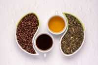 K&alpha;&phi;έ&sigmaf; &kappa;&alpha;&iota; &tau;&sigma;ά&iota;: &Pi;&omicron;&iota;&alpha; &eta; &sigma;&chi;έ&sigma;&eta; &tau;&omicron;&upsilon;&sigmaf; &mu;&epsilon; &tau;&eta; &gamma;&nu;&omega;&sigma;&tau;&iota;&kappa;ή &mu;&alpha;&sigmaf; &iota;&kappa;&alpha;&nu;ό&tau;&eta;&tau;&alpha;;