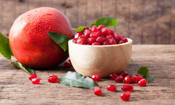 &Tau;&omicron; &rho;ό&delta;&iota; &sigma;&upsilon;&mu;&beta;ά&lambda;&lambda;&epsilon;&iota; &sigma;&tau;&eta;&nu; &kappa;&alpha;&lambda;ή &epsilon;&gamma;&kappa;&epsilon;&phi;&alpha;&lambda;&iota;&kappa;ή &lambda;&epsilon;&iota;&tau;&omicron;&upsilon;&rho;&gamma;ί&alpha; &kappa;&alpha;&iota; &tau;&eta;&nu; &pi;&rho;ό&lambda;&eta;&psi;&eta; &tau;&eta;&sigmaf; ά&nu;&omicron;&iota;&alpha;&sigmaf;!