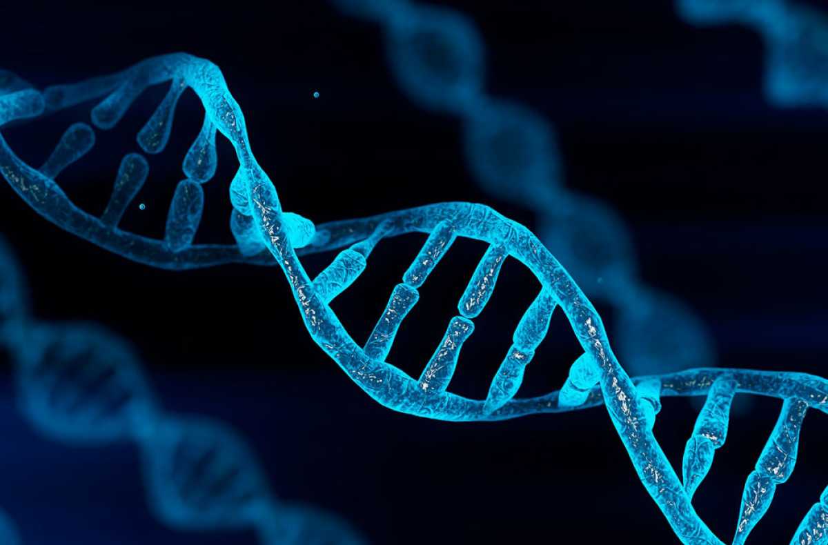 Έρευνα: Eίναι η φυσιολατρία ζήτημα DNA;