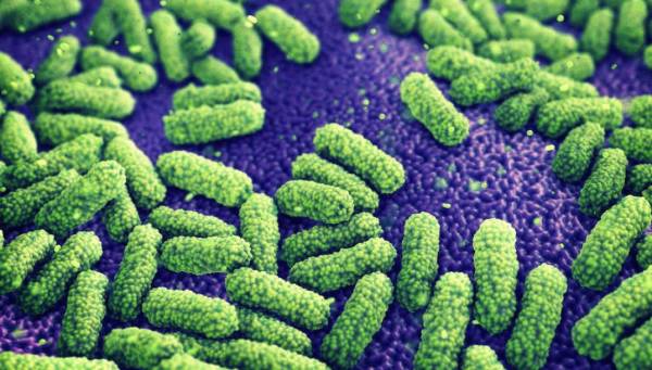 &Alpha;&nu;&alpha;&kappa;&alpha;&lambda;ύ&phi;&theta;&eta;&kappa;&epsilon; &beta;&alpha;&kappa;&tau;ή&rho;&iota;&omicron; &pi;&omicron;&upsilon; &delta;&rho;&alpha; &alpha;&nu;&tau;&iota;&kappa;&alpha;&rho;&kappa;&iota;&nu;&iota;&kappa;ά!