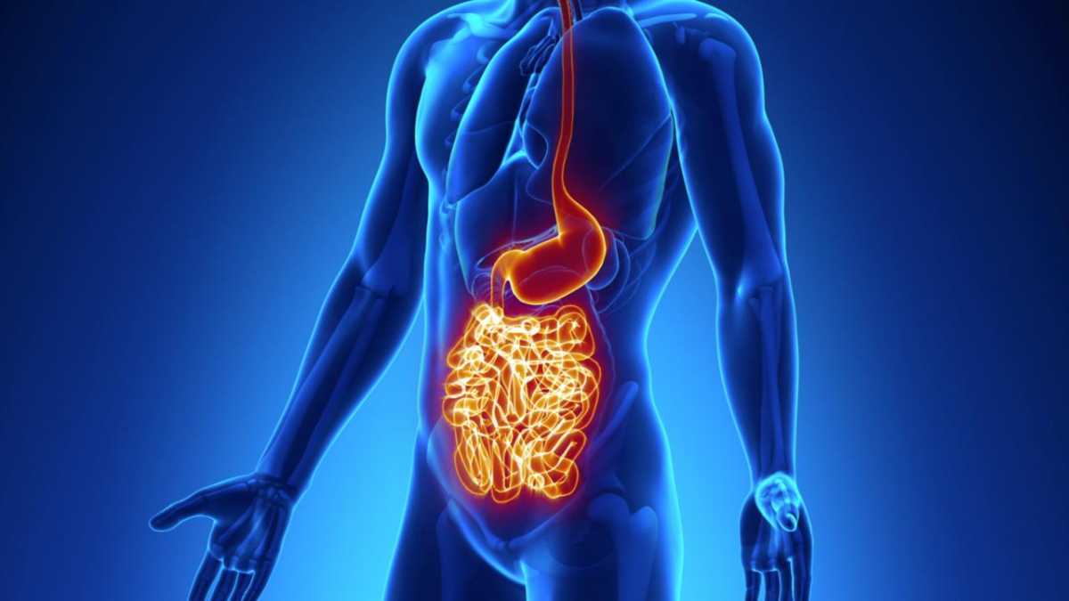&Nu;ό&sigma;&omicron;&sigmaf; &tau;&omicron;&upsilon; Crohn: &Upsilon;&gamma;&iota;&epsilon;&iota;&nu;έ&sigmaf; &delta;&iota;&alpha;&tau;&rho;&omicron;&phi;&iota;&kappa;έ&sigmaf; &epsilon;&pi;&iota;&lambda;&omicron;&gamma;έ&sigmaf; &gamma;&iota;&alpha; &kappa;&alpha;&lambda;ύ&tau;&epsilon;&rho;&eta; &kappa;&alpha;&theta;&eta;&mu;&epsilon;&rho;&iota;&nu;ό&tau;&eta;&tau;&alpha;