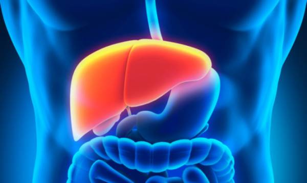 &Iota;&omicron;&gamma;&epsilon;&nu;ή&sigmaf; &eta;&pi;&alpha;&tau;ί&tau;&iota;&delta;&alpha;: &mu;&iota;&alpha; &alpha;&pi;ό &tau;&iota;&sigmaf; &kappa;&upsilon;&rho;&iota;ό&tau;&epsilon;&rho;&epsilon;&sigmaf; &alpha;&iota;&tau;ί&epsilon;&sigmaf; &theta;&alpha;&nu;ά&tau;&omicron;&upsilon; &pi;&alpha;&gamma;&kappa;&omicron;&sigma;&mu;ί&omega;&sigmaf;!