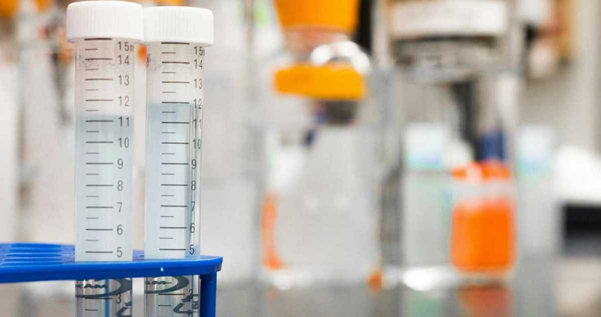 Έρευνα: Αποδεδειγμένα κάποιες χημικές ουσίες συνδέονται με την πρώιμη ήβη