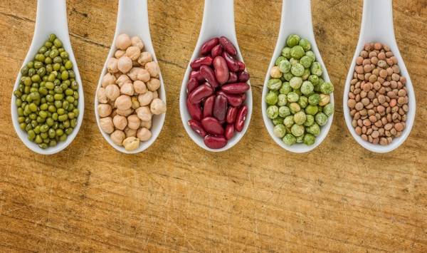 &Tau;&alpha; ό&sigma;&pi;&rho;&iota;&alpha; &kappa;&alpha;&iota; &omicron; &rho;ό&lambda;&omicron;&sigmaf; &tau;&omicron;&upsilon;&sigmaf; &sigma;&tau;&eta; &rho;ύ&theta;&mu;&iota;&sigma;&eta; &tau;&omicron;&upsilon; &sigma;&alpha;&kappa;&chi;ά&rho;&omicron;&upsilon; &tau;&omicron;&upsilon; &alpha;ί&mu;&alpha;&tau;&omicron;&sigmaf;