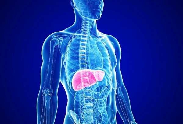 &Lambda;ί&pi;&omicron;&sigmaf; &sigma;&tau;&omicron; &sigma;&upsilon;&kappa;ώ&tau;&iota;: &Pi;&omicron;&iota;&epsilon;&sigmaf; &epsilon;ί&nu;&alpha;&iota; &omicron;&iota; &alpha;&lambda;&lambda;&alpha;&gamma;έ&sigmaf; &pi;&omicron;&upsilon; &pi;&rho;έ&pi;&epsilon;&iota; &nu;&alpha; &kappa;ά&nu;&epsilon;&tau;&epsilon; &alpha;&mu;έ&sigma;&omega;&sigmaf;;