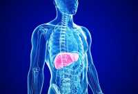 &Lambda;ί&pi;&omicron;&sigmaf; &sigma;&tau;&omicron; &sigma;&upsilon;&kappa;ώ&tau;&iota;: &Pi;&omicron;&iota;&epsilon;&sigmaf; &epsilon;ί&nu;&alpha;&iota; &omicron;&iota; &alpha;&lambda;&lambda;&alpha;&gamma;έ&sigmaf; &pi;&omicron;&upsilon; &pi;&rho;έ&pi;&epsilon;&iota; &nu;&alpha; &kappa;ά&nu;&epsilon;&tau;&epsilon; &alpha;&mu;έ&sigma;&omega;&sigmaf;;