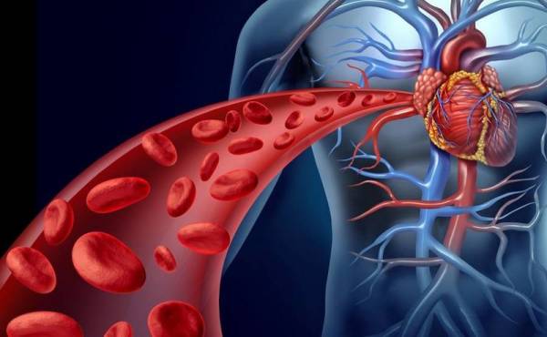 &Alpha;&pi;ό&phi;&rho;&alpha;&xi;&eta; &alpha;&rho;&tau;&eta;&rho;&iota;ώ&nu;: &tau;&rho;ί&alpha; &chi;&alpha;&rho;&alpha;&kappa;&tau;&eta;&rho;&iota;&sigma;&tau;&iota;&kappa;ά &sigma;&upsilon;&mu;&pi;&tau;ώ&mu;&alpha;&tau;&alpha; &pi;&omicron;&upsilon; &pi;&rho;&omicron;&epsilon;&iota;&delta;&omicron;&pi;&omicron;&iota;&omicron;ύ&nu;!