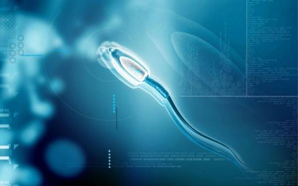 &Omicron;&iota; &sigma;&upsilon;&nu;ή&theta;&epsilon;&iota;&epsilon;&sigmaf; &pi;&omicron;&upsilon; &beta;&lambda;ά&pi;&tau;&omicron;&upsilon;&nu; &tau;&omicron; &sigma;&pi;έ&rho;&mu;&alpha;!