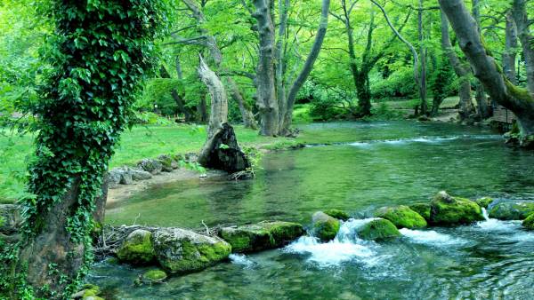 T&alpha; &tau;&omicron;&pi;ί&alpha; &pi;&rho;&omicron;ά&gamma;&omicron;&upsilon;&nu; &tau;&eta; &sigma;&upsilon;&nu;&alpha;&iota;&sigma;&theta;&eta;&mu;&alpha;&tau;&iota;&kappa;ή &alpha;&sigma;&phi;ά&lambda;&epsilon;&iota;&alpha; &kappa;&alpha;&iota; &tau;&eta;&nu; &eta;&rho;&epsilon;&mu;ί&alpha;!