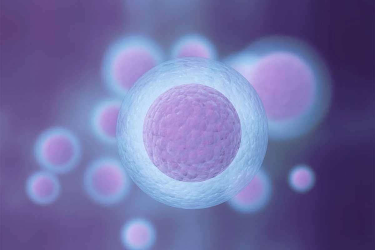 Έρευνα: Oι τροφές που ενοχοποιούνται για ογκογένεση