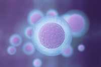 Έρευνα: Oι τροφές που ενοχοποιούνται για ογκογένεση