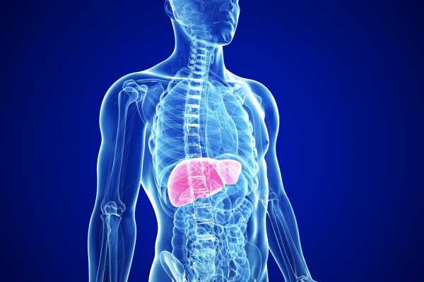 Ή&pi;&alpha;&rho;: &Nu;έ&epsilon;&sigmaf;, &epsilon;&lambda;&pi;&iota;&delta;&omicron;&phi;ό&rho;&epsilon;&sigmaf; &epsilon;&xi;&epsilon;&lambda;ί&xi;&epsilon;&iota;&sigmaf; &gamma;&iota;&alpha; &tau;&alpha; &eta;&pi;&alpha;&tau;&iota;&kappa;ά &nu;&omicron;&sigma;ή&mu;&alpha;&tau;&alpha; &kappa;&alpha;&iota; &tau;&eta;&nu; &kappa;ί&rho;&rho;&omega;&sigma;&eta;