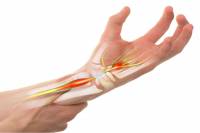 &Tau;&omicron; &Sigma;ύ&nu;&delta;&rho;&omicron;&mu;&omicron; &Kappa;&alpha;&rho;&pi;&iota;&alpha;ί&omicron;&upsilon; &Sigma;&omega;&lambda;ή&nu;&alpha; &kappa;&alpha;&iota; &omicron;&iota; &mu;&iota;&kappa;&rho;έ&sigmaf; &alpha;&lambda;&lambda;&alpha;&gamma;έ&sigmaf; &gamma;&iota;&alpha; &nu;&alpha; &tau;&omicron; &alpha;&pi;&omicron;&phi;ύ&gamma;&omicron;&upsilon;&mu;&epsilon;!