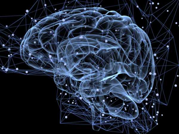 &Alpha;&lambda;&gamma;ό&rho;&iota;&theta;&mu;&omicron;&sigmaf; &rho;ί&chi;&nu;&epsilon;&iota; &phi;&omega;&sigmaf; &sigma;&tau;&omicron; &gamma;&epsilon;&nu;&epsilon;&tau;&iota;&kappa;ό &upsilon;&pi;ό&beta;&alpha;&theta;&rho;&omicron; &tau;&eta;&sigmaf; &sigma;&chi;&iota;&zeta;&omicron;&phi;&rho;έ&nu;&epsilon;&iota;&alpha;&sigmaf;!