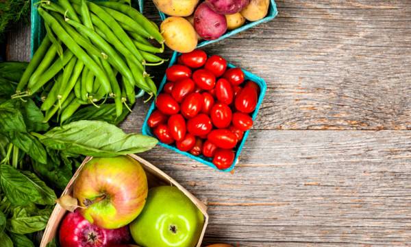 &Tau;&alpha; &beta;&iota;&omicron;&lambda;&omicron;&gamma;&iota;&kappa;ά &tau;&rho;ό&phi;&iota;&mu;&alpha; &alpha;&pi;&omicron;&mu;&alpha;&kappa;&rho;ύ&nu;&omicron;&upsilon;&nu; &tau;&omicron;&nu; &kappa;ί&nu;&delta;&upsilon;&nu;&omicron; &epsilon;&mu;&phi;ά&nu;&iota;&sigma;&eta;&sigmaf; &kappa;&alpha;&rho;&kappa;ί&nu;&omicron;&upsilon;;