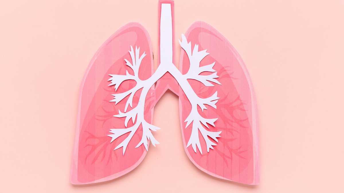 &Kappa;&alpha;&rho;&kappa;ί&nu;&omicron;&sigmaf; &pi;&nu;&epsilon;ύ&mu;&omicron;&nu;&alpha;: &Alpha;&nu;&eta;&sigma;&upsilon;&chi;&omicron;ύ&nu; &tau;&alpha; &pi;&omicron;&sigma;&omicron;&sigma;&tau;ά &tau;&omega;&nu; &mu;&eta; &kappa;&alpha;&pi;&nu;&iota;&sigma;&tau;ώ&nu; &pi;&omicron;&upsilon; &nu;&omicron;&sigma;&omicron;ύ&nu;