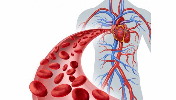 &Omicron;&iota; &delta;ύ&sigma;&kappa;&alpha;&mu;&pi;&tau;&epsilon;&sigmaf; &alpha;&rho;&tau;&eta;&rho;ί&epsilon;&sigmaf; &sigma;&chi;&epsilon;&tau;ί&zeta;&omicron;&nu;&tau;&alpha;&iota; &kappa;&alpha;&iota; &mu;&epsilon; &tau;&omicron;&nu; &kappa;ί&nu;&delta;&upsilon;&nu;&omicron; ά&nu;&omicron;&iota;&alpha;&sigmaf;